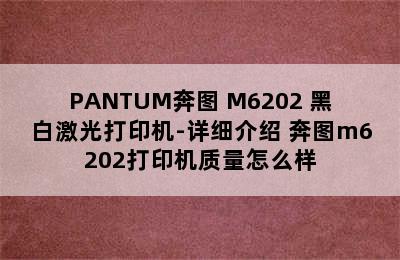 PANTUM奔图 M6202 黑白激光打印机-详细介绍 奔图m6202打印机质量怎么样